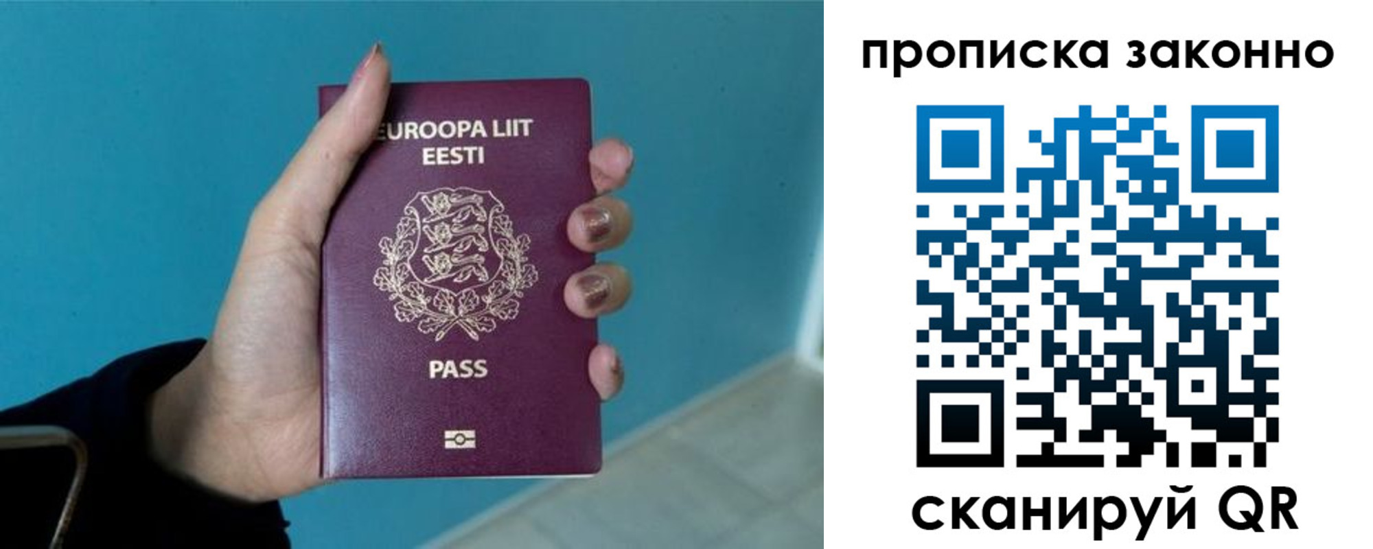 прописка гарантия в Видном